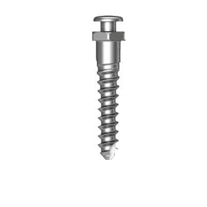 Мини-имплантат из титана - Osstem Implant France - прямой / винтовой / ортодонтической фиксации