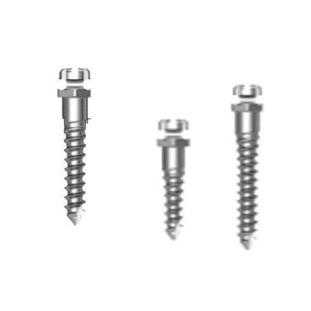 Мини-имплантат из титана - Bracket Head - Osstem Implant France - внутренний / прямой / винтовой