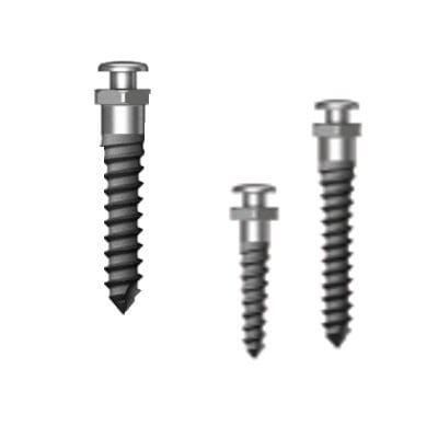 Мини-имплантат из титана - Simple Head Half Etched - Osstem Implant France - прямой / винтовой / ортодонтической фиксации