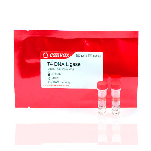 Набор реактивов ДНК-лигаза - T4 - Canvax - для нуклеиновых кислот / Escherichia coli (кишечная палочка)