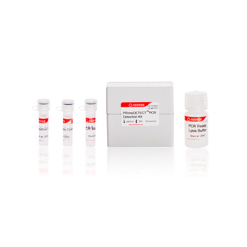 Набор для теста для выделения ДНК - PRImeDETECT™ - Canvax - на сальмонеллу / на листериоз / для СМЖ в режиме реального времени