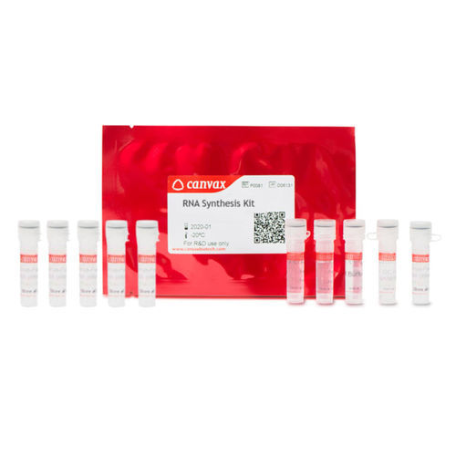 Набор реактивов фермент - CVX™ - Canvax - ингибитор РНКаз / для исследований / для разработки лекарств