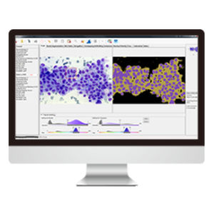 Программное обеспечение клеточной визуализации - AmCAD-CA  - AmCad BioMed - для анализа / для диагностики / для приобретения