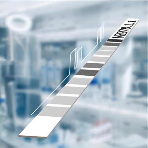 Набор для теста на целиакию - CeliAK IgA LINE - MEDIPAN GmbH - IgA / сыворотки / люминесцентный иммуноанализ (ЛИА)
