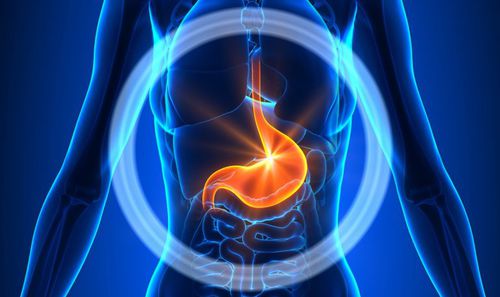 Набор для теста бактерия Helicobacter pylori - 6012 - MEDIPAN GmbH - для кала / с помощью иммуноанализа