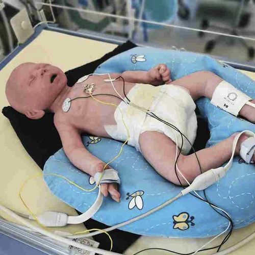 Медицинский симулятор для респираторного дистресс-синдрома - LuSi - neosim AG - для оценки / для оказания общей помощи / пневмоторакса