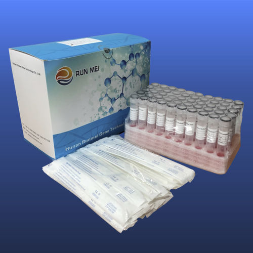 Лабораторная пробирка - 3822009000 - HUNAN RUNMEI GENE TECHNOLOGY CO.,LTD - с плоским дном / назофарингеальная / для носа