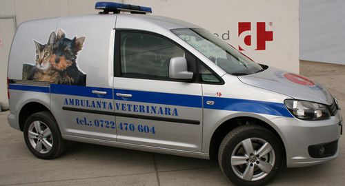 Ветеринарная машина скорой помощи - Volkswagen Caddy - DELTAMED SRL - фургон / 4x4