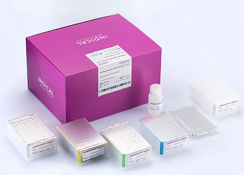 Набор реактивов для ветеринарной лаборатории - IndiMag Pathogen KF96 Cartridge - INDICAL BIOSCIENCE GmbH - на магнитных шариках / нуклеиновая кислота / извлечение ДНК