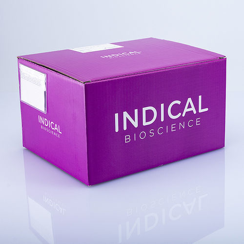 Ветеринарный набор для теста - IndiMag Mastitis Kit - INDICAL BIOSCIENCE GmbH - на мастит / для выделения ДНК / для очистки ДНК