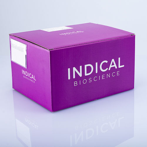 Ветеринарный набор для теста - BioSprint 96 One-For-All Vet Kit - INDICAL BIOSCIENCE GmbH - на инфекционные заболевания / для очистки ДНК / для животных