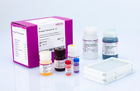 Ветеринарный набор для теста - flocktype Salmonella Ab - INDICAL BIOSCIENCE GmbH - для домашней птицы / бактерии / на сальмонеллу