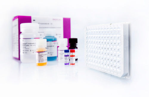 Ветеринарный набор для теста - pigtype Trichinella Ab - INDICAL BIOSCIENCE GmbH - на трихомоноз / для свиней / для антитела