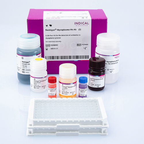 Ветеринарный набор для теста - flocktype Mycoplasma Ms Ab - INDICAL BIOSCIENCE GmbH - для домашней птицы / TMB / на микоплазму