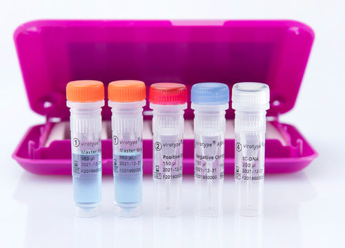 Ветеринарный набор для теста - virotype ASFV 2.0 PCR Kit - INDICAL BIOSCIENCE GmbH - на инфекционные заболевания / для свиней / для ДНК