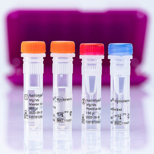 Ветеринарный набор для теста - bactotype Mycoplasma Mg/Ms PCR Kit - INDICAL BIOSCIENCE GmbH - для выделения ДНК / для домашней птицы / на микоплазму