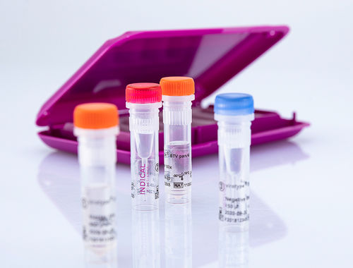 Ветеринарный набор для теста - virotype BTV pan/4 RT-PCR Kit - INDICAL BIOSCIENCE GmbH - для крупного рогатого скота / для овец / для коз