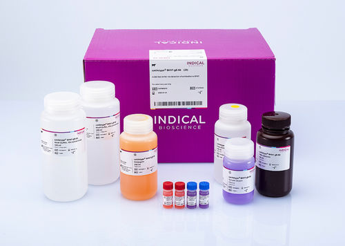 Ветеринарный набор для теста - cattletype BHV1 gB Ab - INDICAL BIOSCIENCE GmbH - для крупного рогатого скота / TMB / сыворотки