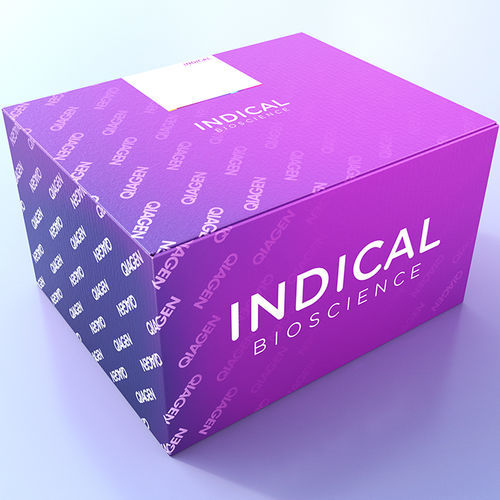Ветеринарный набор для теста - cador T. equigenitalis PCR Kit - INDICAL BIOSCIENCE GmbH - для лошади / на Taylorella equigenitalis / Klebsiella pneumoniae (Клебсиелла пневмонии)