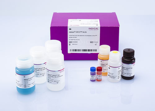 Ветеринарный набор для теста - pigtype CSFV Erns Ab - INDICAL BIOSCIENCE GmbH - для свиней / TMB / для вируcов