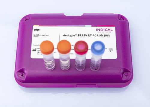 Ветеринарный набор для теста - virotype PRRSV RT-PCR Kit - INDICAL BIOSCIENCE GmbH - на распираторные заболевания / для свиней / респираторно-синцитиального вируса