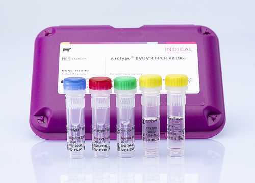Ветеринарный набор для теста - virotype BVDV RT-PCR Kit - INDICAL BIOSCIENCE GmbH - для вирусной диареи крупного рогатого скота / для крупного рогатого скота / крови