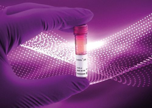 Реактив для ветеринарной лаборатории - IndiMix JOE - INDICAL BIOSCIENCE GmbH - фермент / буферный раствор / обратная транскриптаза