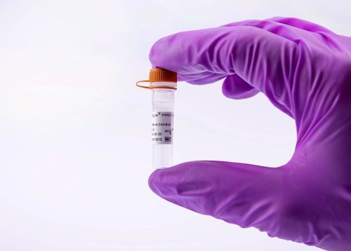 Реактив для ветеринарной лаборатории - virotype PRRSV PRO Positive Control - INDICAL BIOSCIENCE GmbH - эталон / для исследований / для qPCR