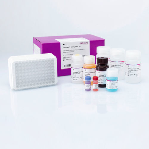 Ветеринарный набор для теста - cattletype BHV1 gE Ab - INDICAL BIOSCIENCE GmbH - на распираторные заболевания / для животных / TMB