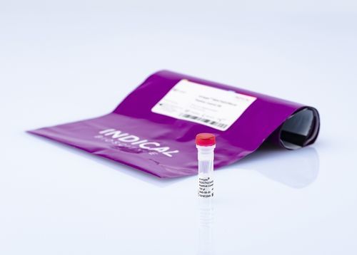 Реактив для ветеринарной лаборатории - virotype PEDV/TGEV/PDCoV Positive Control - INDICAL BIOSCIENCE GmbH - в растворе / для исследований / для извлечения РНК