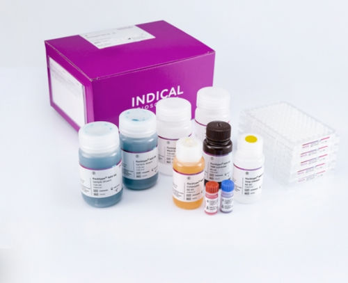 Ветеринарный набор для теста - flocktype NDV Ab - INDICAL BIOSCIENCE GmbH - на болезнь Ньюкасла / для домашней птицы / TMB
