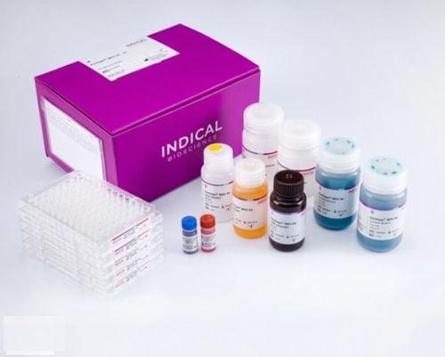 Ветеринарный набор для теста - flocktype IBDV Ab - INDICAL BIOSCIENCE GmbH - на инфекционный бурсит / для домашней птицы / для вируcов