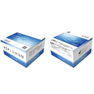 Экспресс-тест COVID-19 - Zhongshan Chuangyi Biochemical Engineering Co.,ltd - IgG / иммуноглобулин M / SARS-COV-2