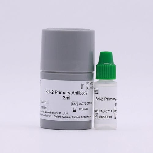 Реактив антитела - Skin - Beijing Strong Biotechnologies, Inc - патология / для иммуногистохимии