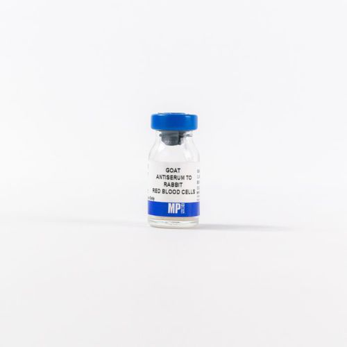 Реактив антисыворотка - 0855616 - MP Biomedicals - для исследований / для диагностики / ткани