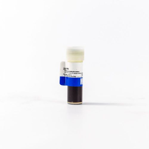 Реактив агарозный гель - 112327204 - MP Biomedicals - загрузочный буфер / для исследований / для электрофореза