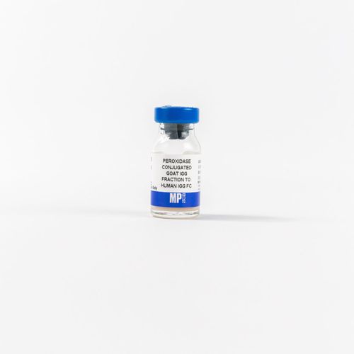 Реактив IgG - 0855226 - MP Biomedicals - фермент / антитела / для исследований