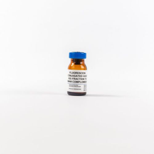 Реактив IgG - 0855167 - MP Biomedicals - антитела / для теста ELISA / ткани