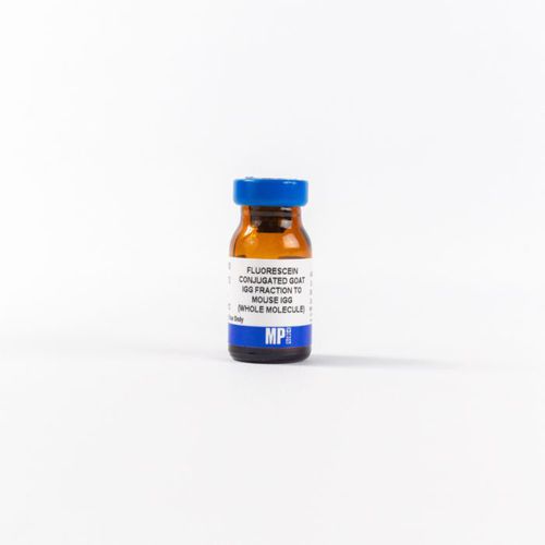 Реактив IgG - 0855493 - MP Biomedicals - антитела / для исследований / ткани