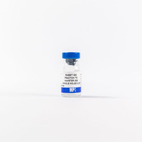 Реактив для протеинов - 0855398 - MP Biomedicals - фермент / антитела / для исследований