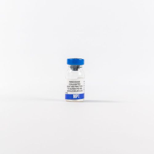 Реактив IgG - 0855391 - MP Biomedicals - фермент / антитела / для исследований