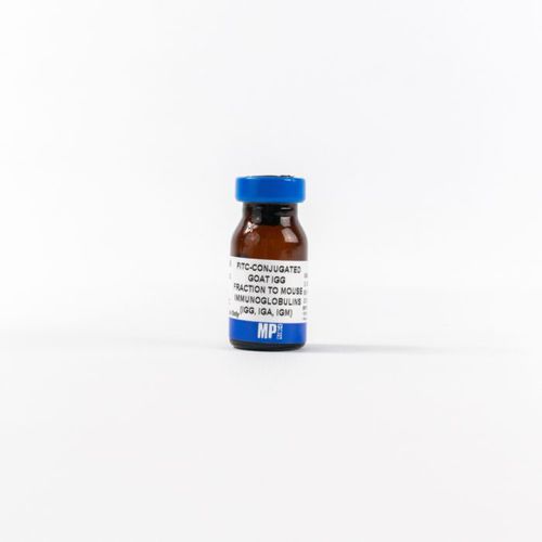 Реактив IgG - 0855499 - MP Biomedicals - антитела / для исследований / для иммуногистохимии
