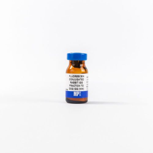 Реактив для протеинов - 0855326 - MP Biomedicals - антитела / для исследований / для иммуногистохимии
