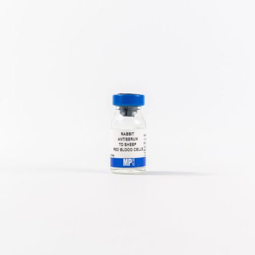 Реактив общий белок - 0855800 - MP Biomedicals - поликлональное антитело / для исследований / ткани