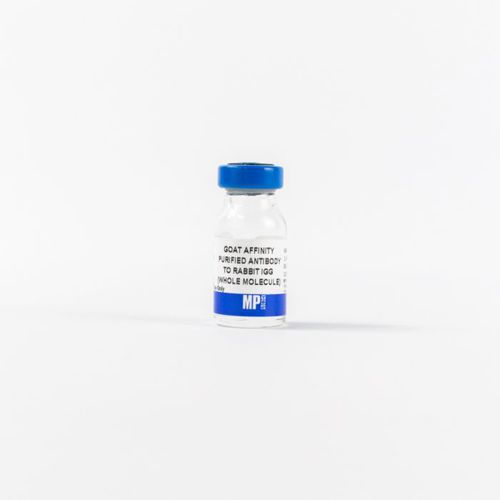Реактив IgG - 0855641 - MP Biomedicals - антитела / фермент / для исследований