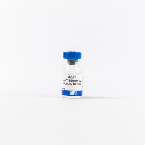 Реактив поликлональное антитело - 0855136 - MP Biomedicals - антисыворотка / для исследований / ткани