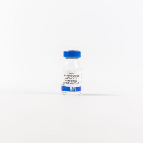 Реактив IgG - 0856984 - MP Biomedicals - антитела / для исследований / ткани