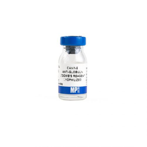Реактив IgG - 08646352 - MP Biomedicals - антитела / сыворотки / для исследований