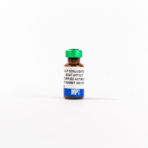 Реактив IgG - 0859298 - MP Biomedicals - антитела / для исследований / ткани