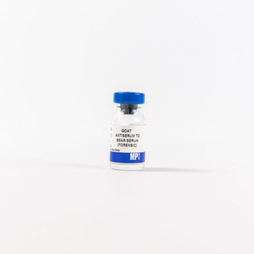 Реактив для протеинов - 0856009 - MP Biomedicals - антитела / антисыворотка / для исследований